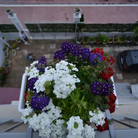 B&B Tirana - Vila 21 Bed & Breakfast *